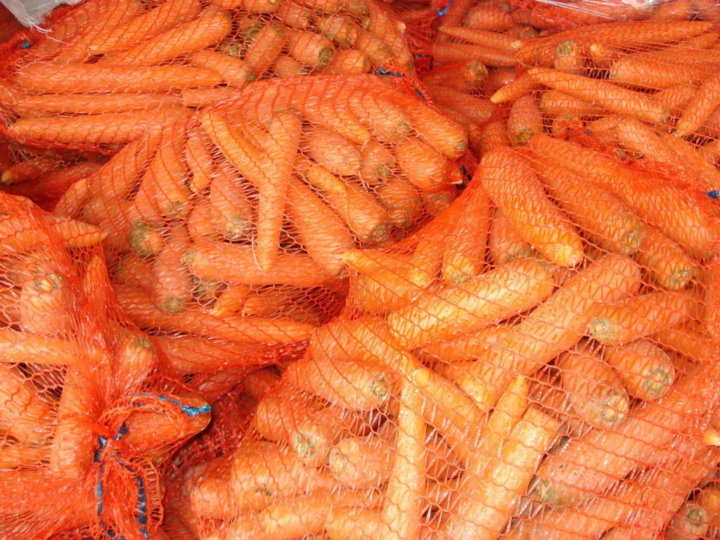 фотография продукта Морковь Желтая готова к оптовой поставке