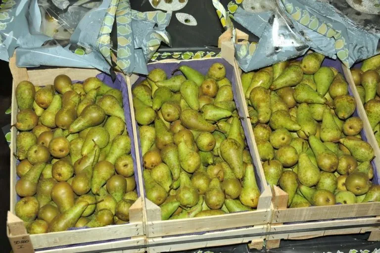 фотография продукта Оптовая продажа груш различных сортов