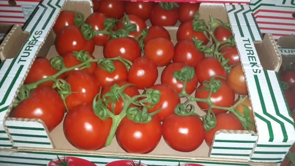 фотография продукта Продажа оптом помидор Сабина