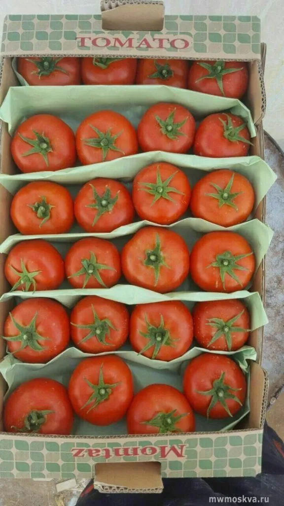 фотография продукта Высококачественные помидоры сорта Ламия