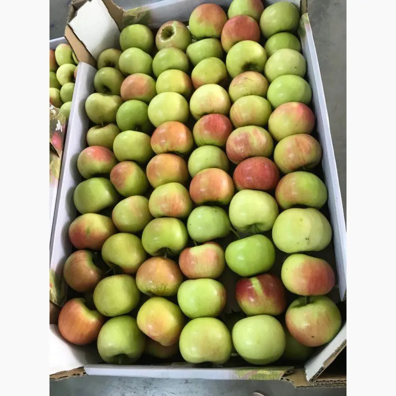 фотография продукта яблоки различных сортов 