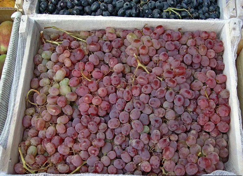 виноград Тайфи  в Волгограде