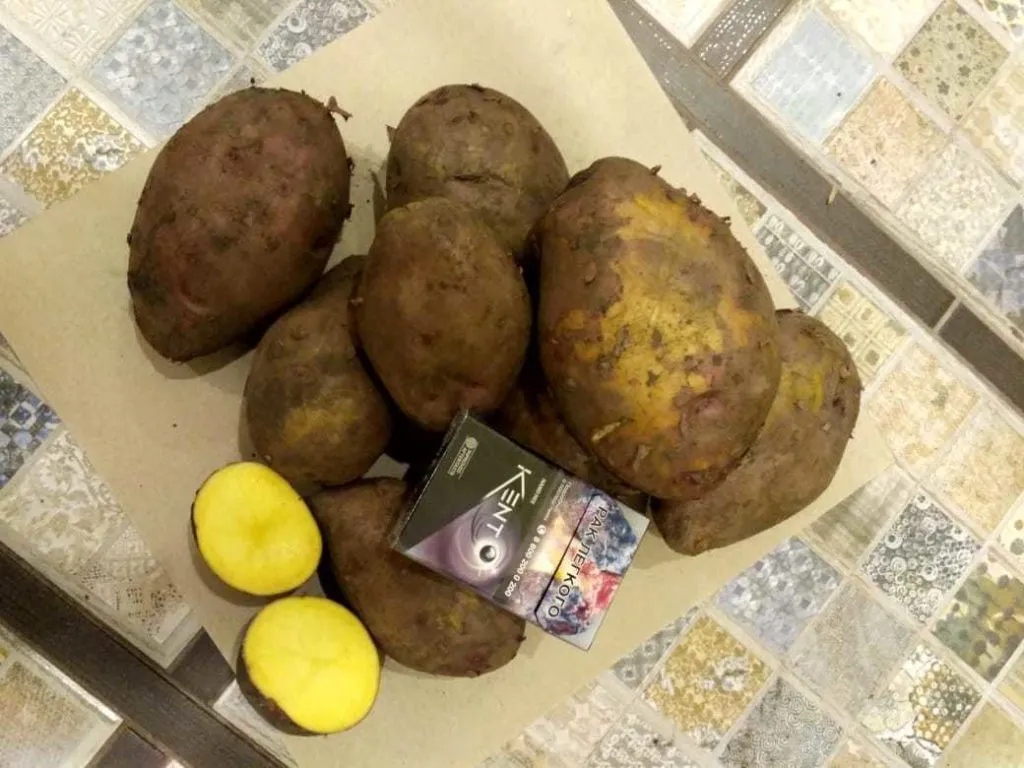 картофель от производителя! в Москве