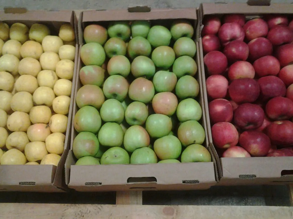 фотография продукта Продажа оптом яблок Кристин с доставкой 