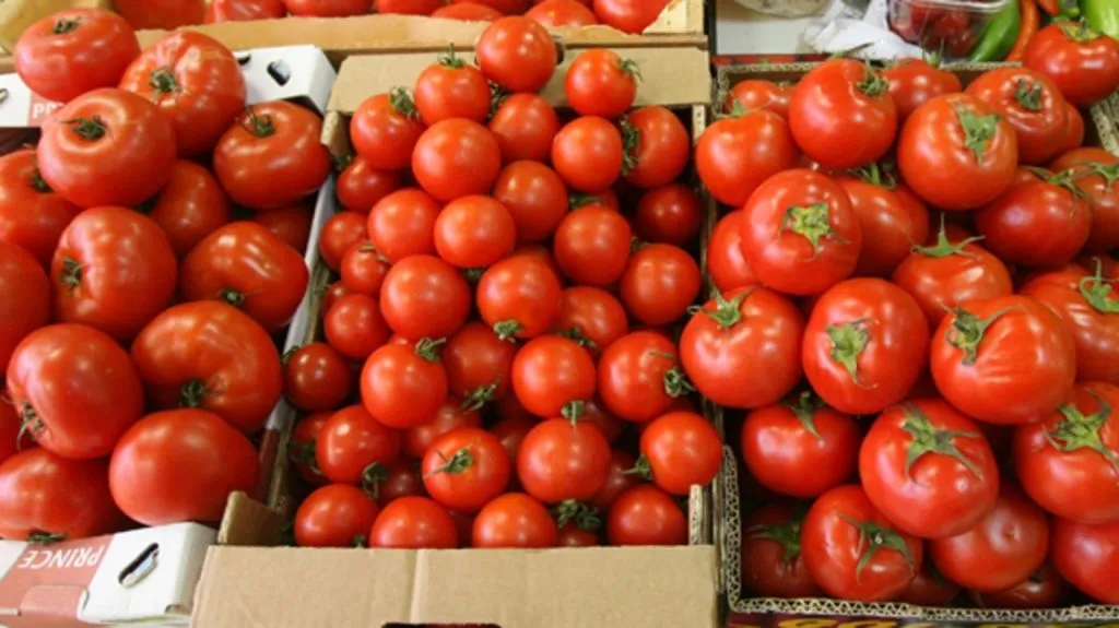 фотография продукта помидоры сорта Сабина 