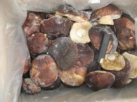 фотография продукта Белый гриб целый 2 сорт замороженный