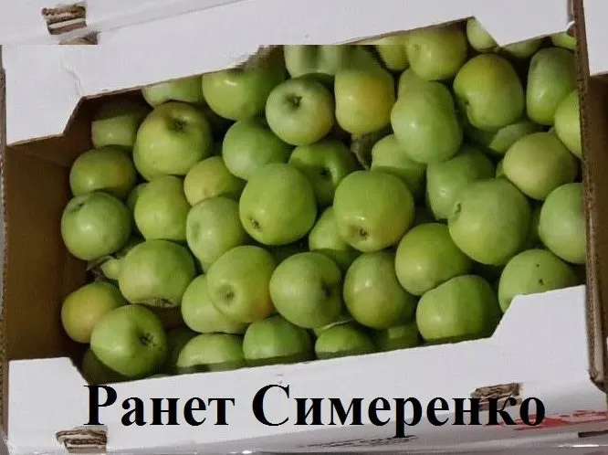 фотография продукта Яблоки из Крыма в ассортименте