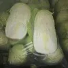 пекинская капуста билко, эндуро оптом в Джанкое 4