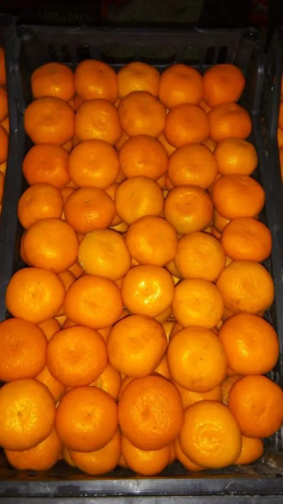 мандарины в Симферополе