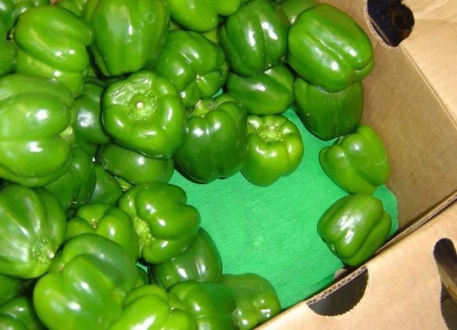 фотография продукта перец зеленый