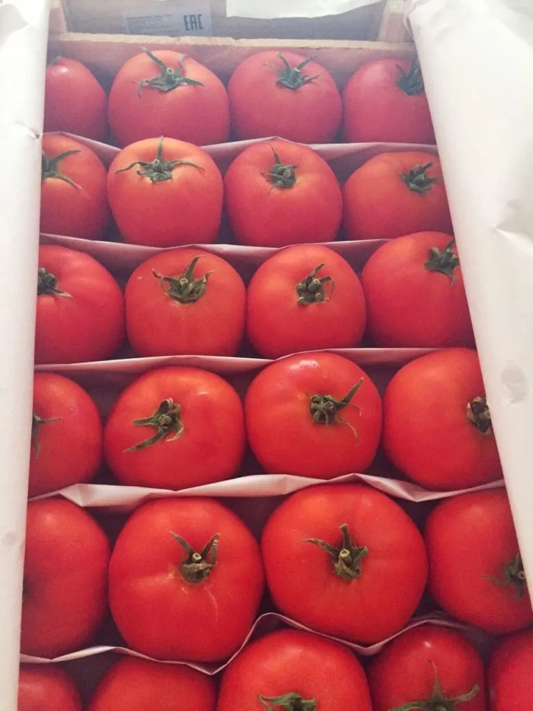 фотография продукта Оптовая доставка помидоров 