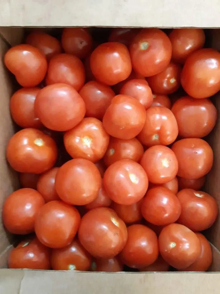 томаты 2-го сорта оптом в Саратове