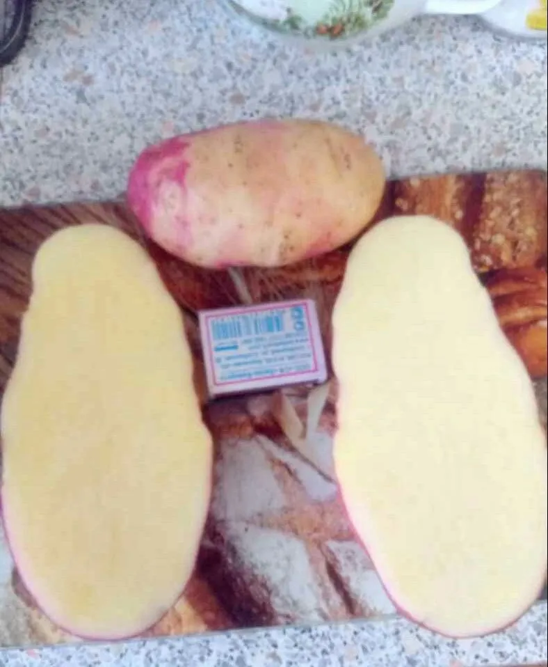 картофель оптом в Ульяновске