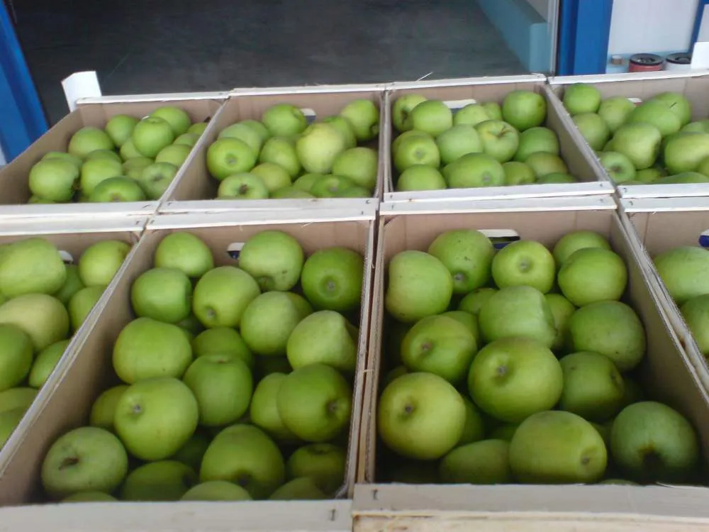 яблоки Муцу в Екатеринбурге