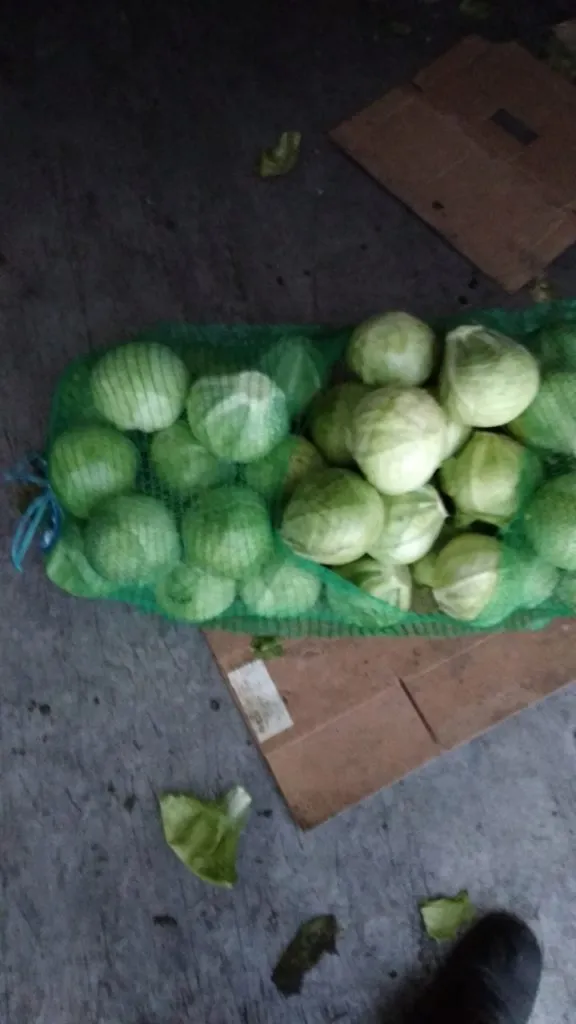 Фотография продукта капусту, 23 р в Москве