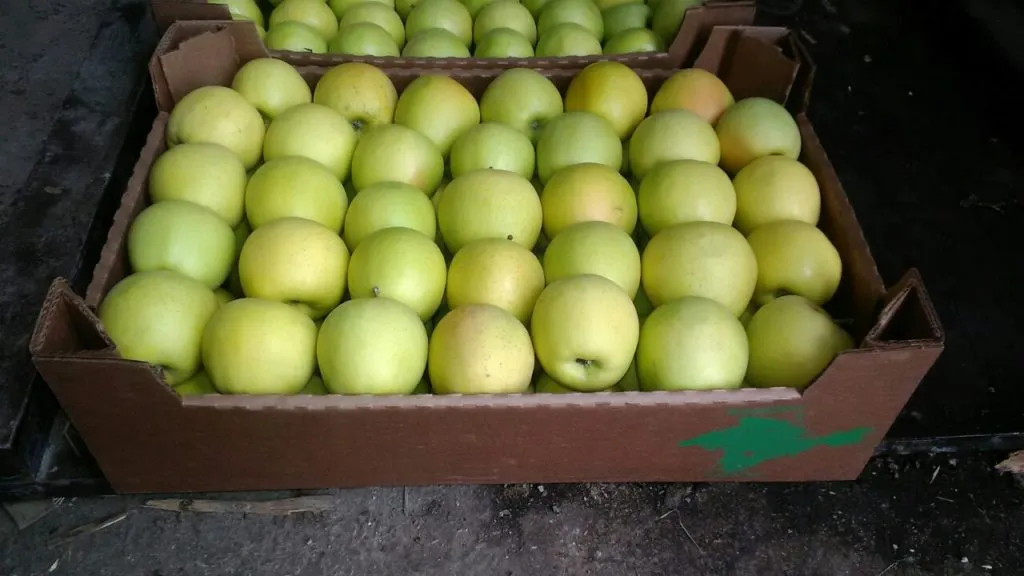яблоки крымские  в Симферополе