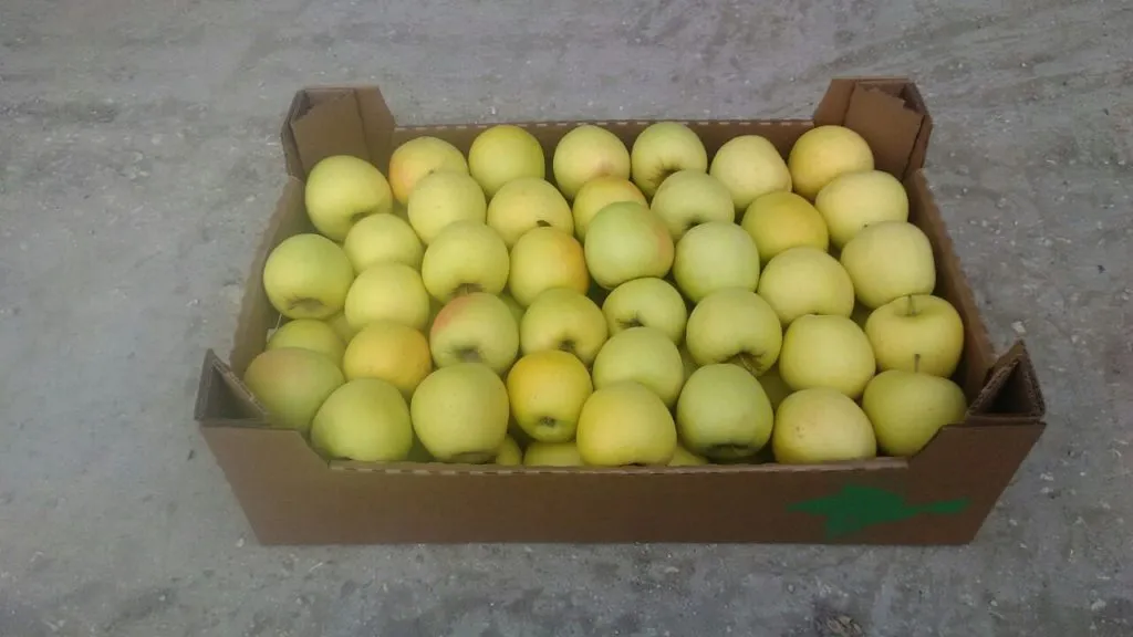 яблоки крымские оптом в Симферополе