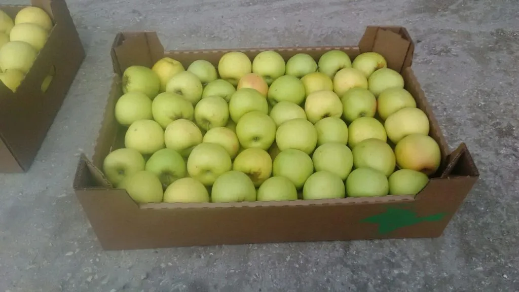 яблоки разных сортов в Симферополе