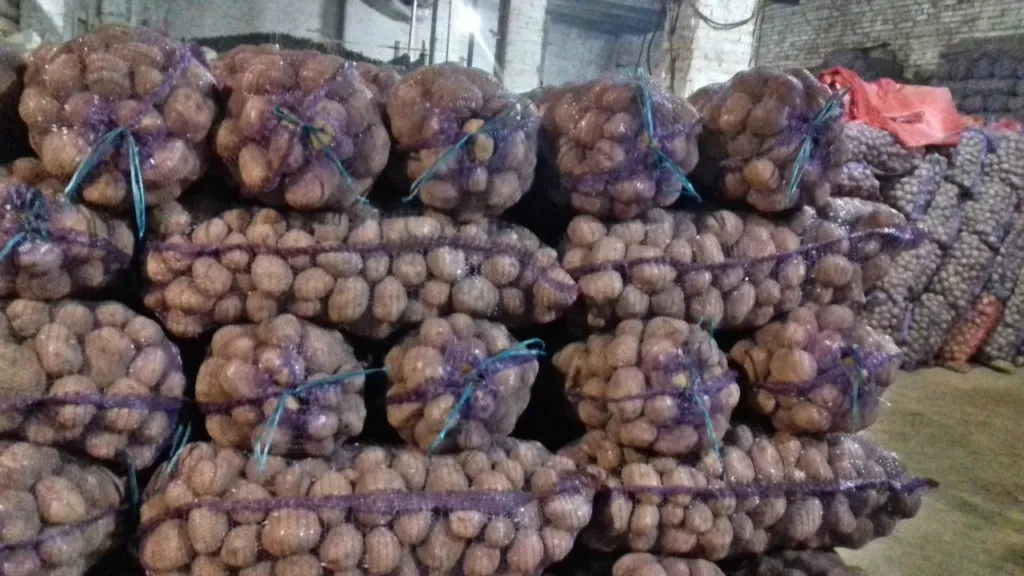 фотография продукта Картофель урожай 2018 года 