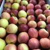 продажа яблок ОПТОМ  в Краснодаре