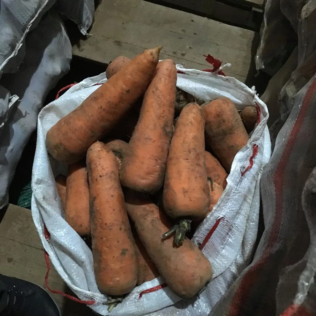 картофель, морковь в Симферополе 5