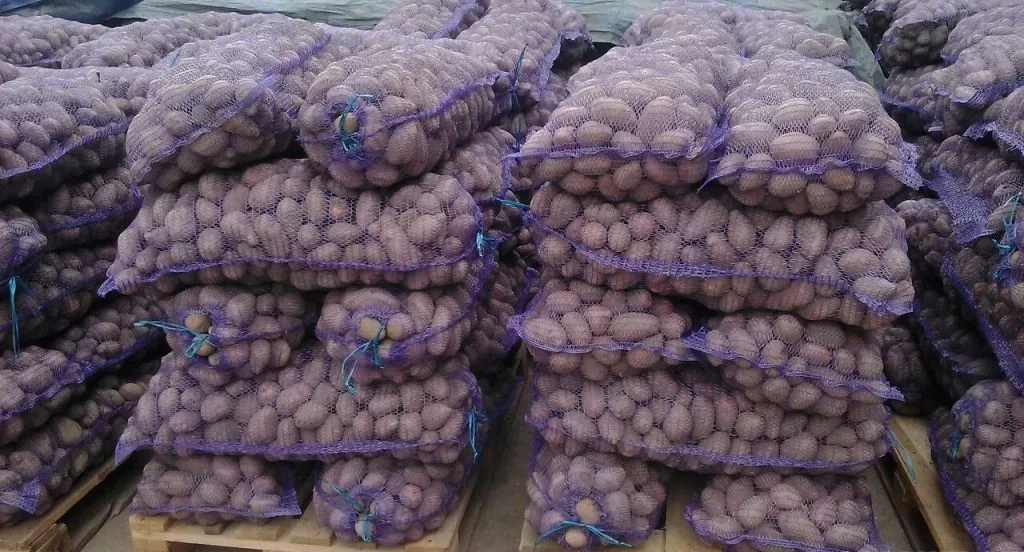 фотография продукта Любой картофель из хранилищ всей России