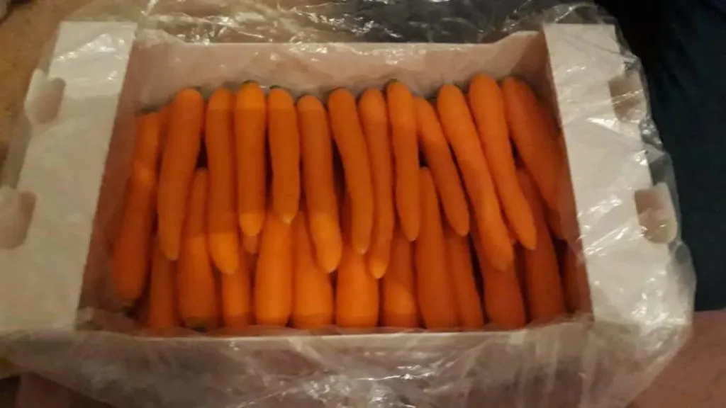морковь в Армения 4