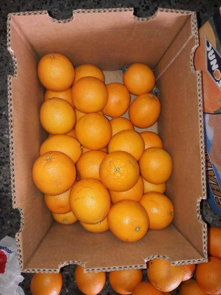 фотография продукта Апельсины Египет