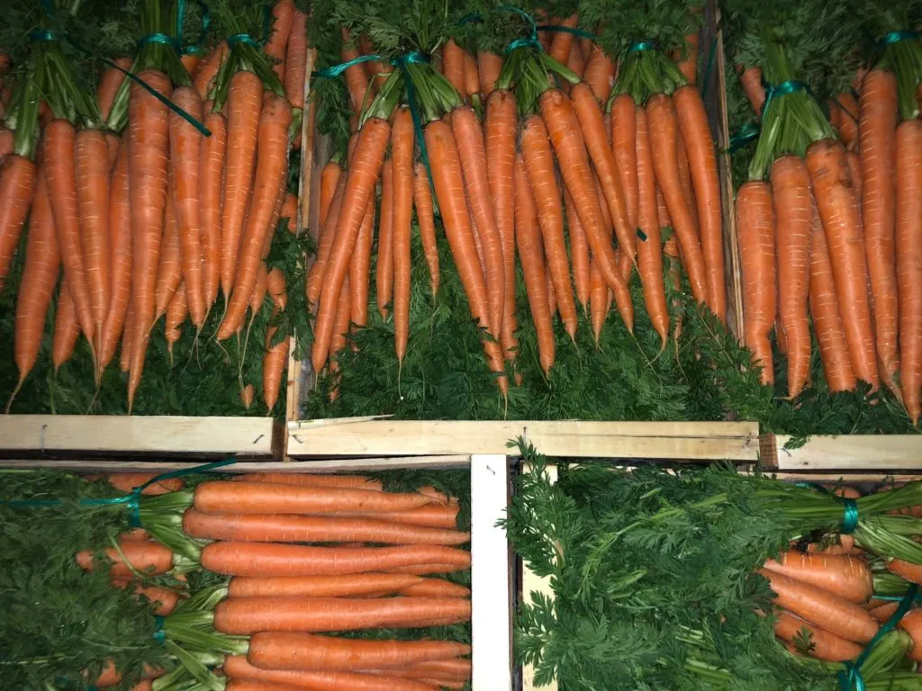 Фотография продукта Морковь ранняя в пучке ИМПОРТ