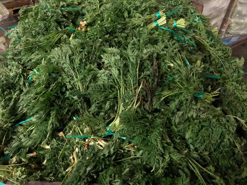 Фотография продукта Листья салата / капусты корм ПТИЦАМ/ КРС