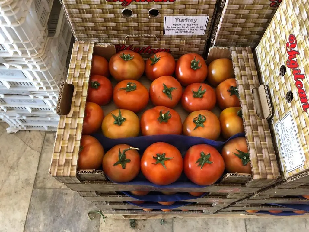 оптовая продажа помидоров в Турции