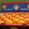 апельсин оптом в Москве
