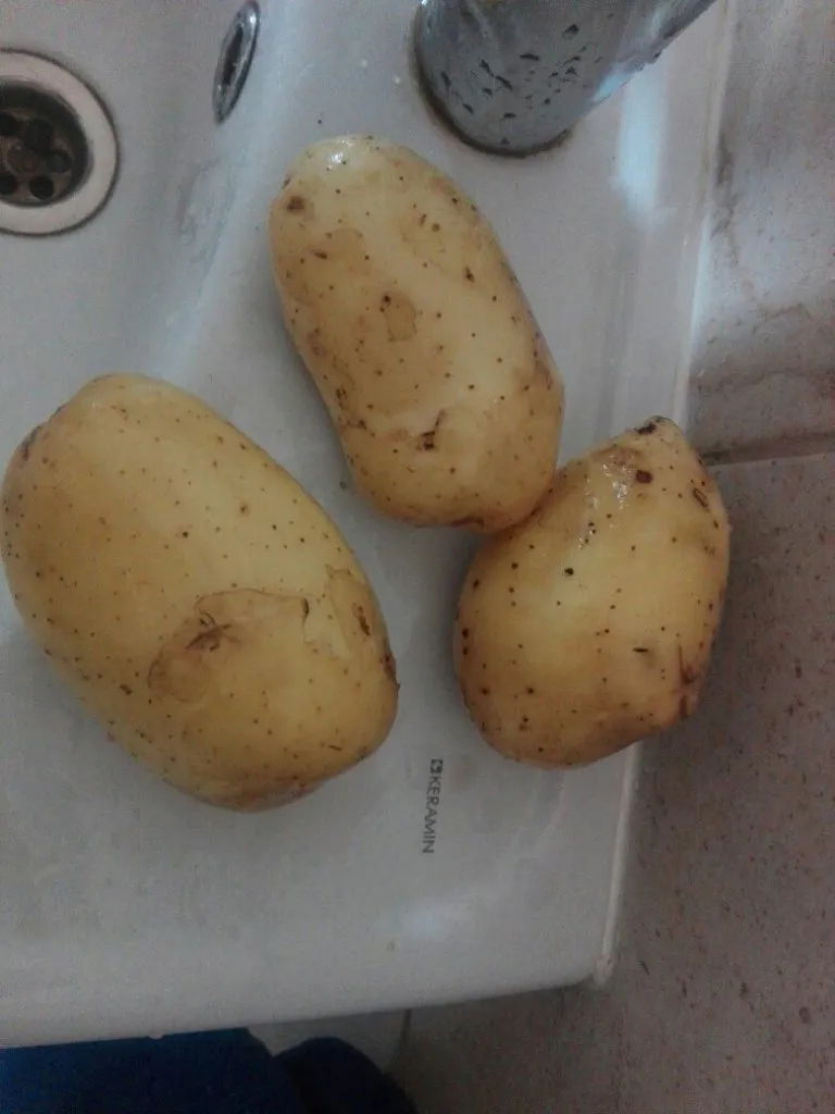 фотография продукта Семенной картофель Гала и Сифра