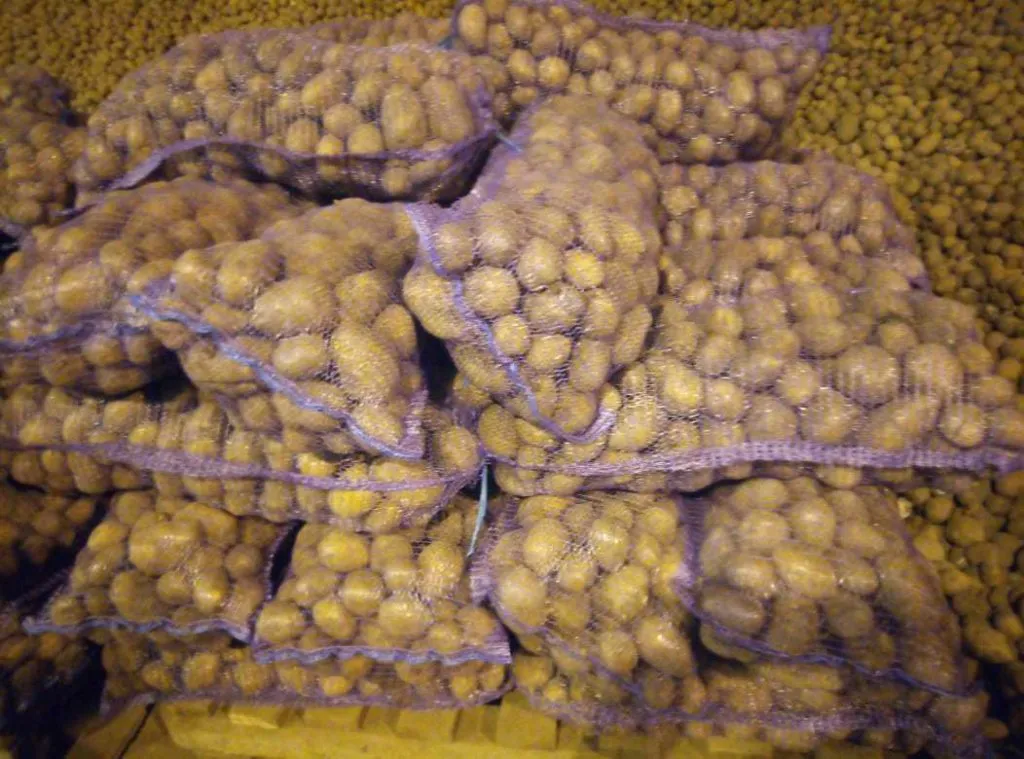 картофель оптом в Омске