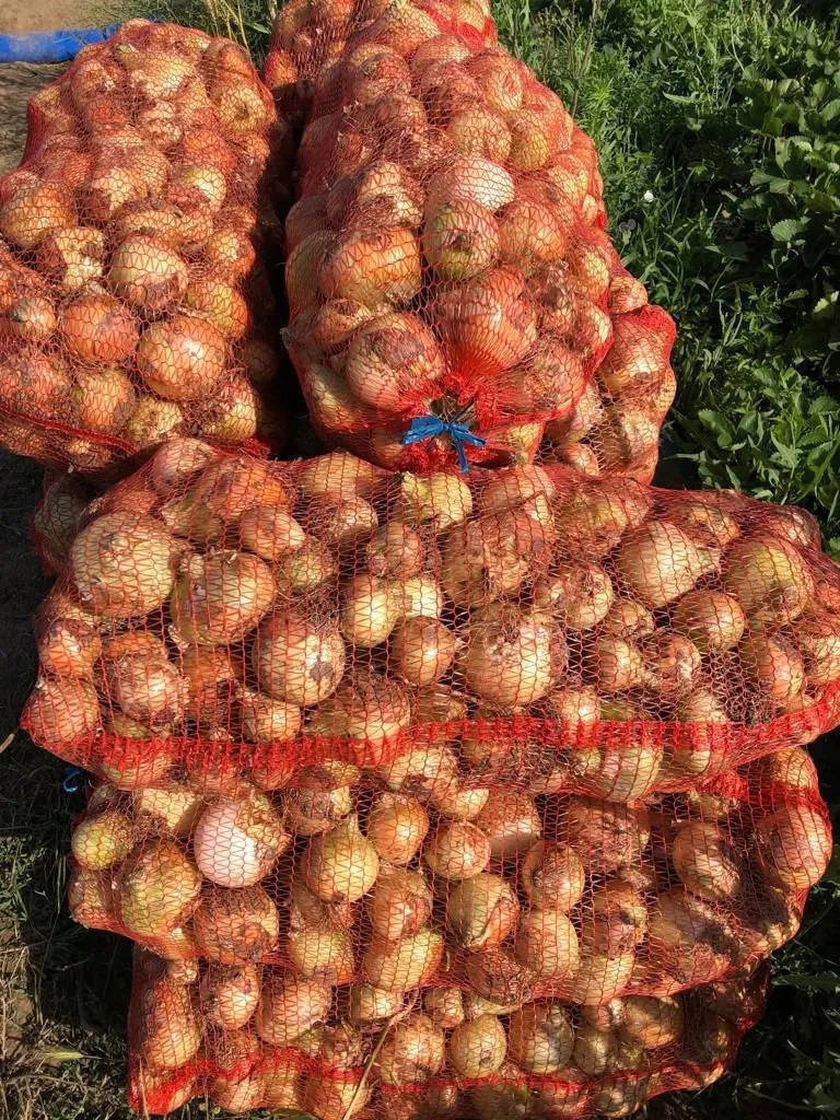 фотография продукта Морковь, лук оптом Крым