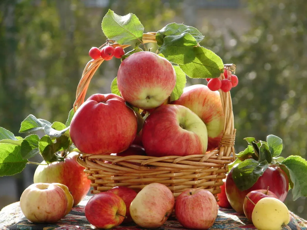 фотография продукта яблоки, персики в сезонный период