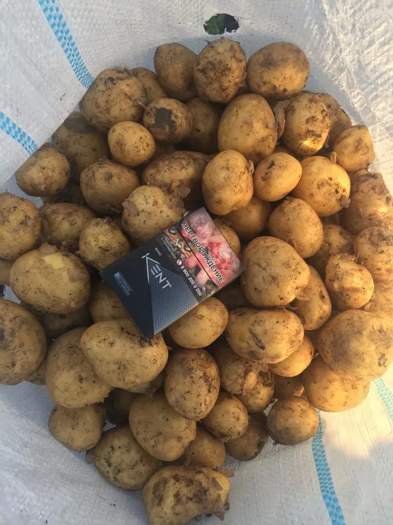 картофель 2 сорт в Ростове-на-Дону