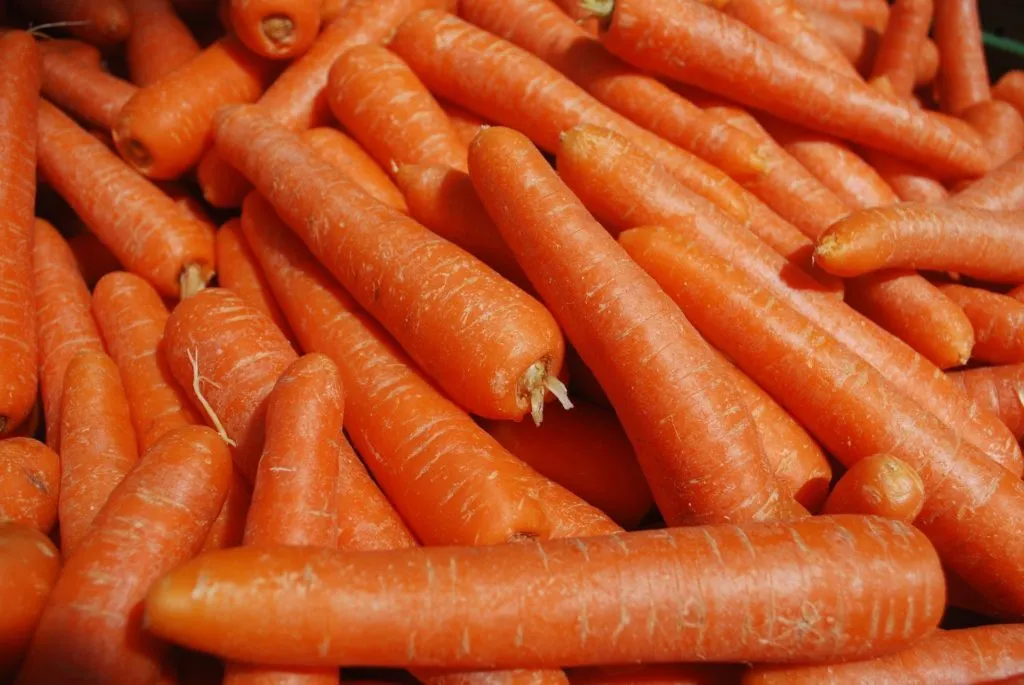 продаю оптом морковь от производителя в Новочебоксарске