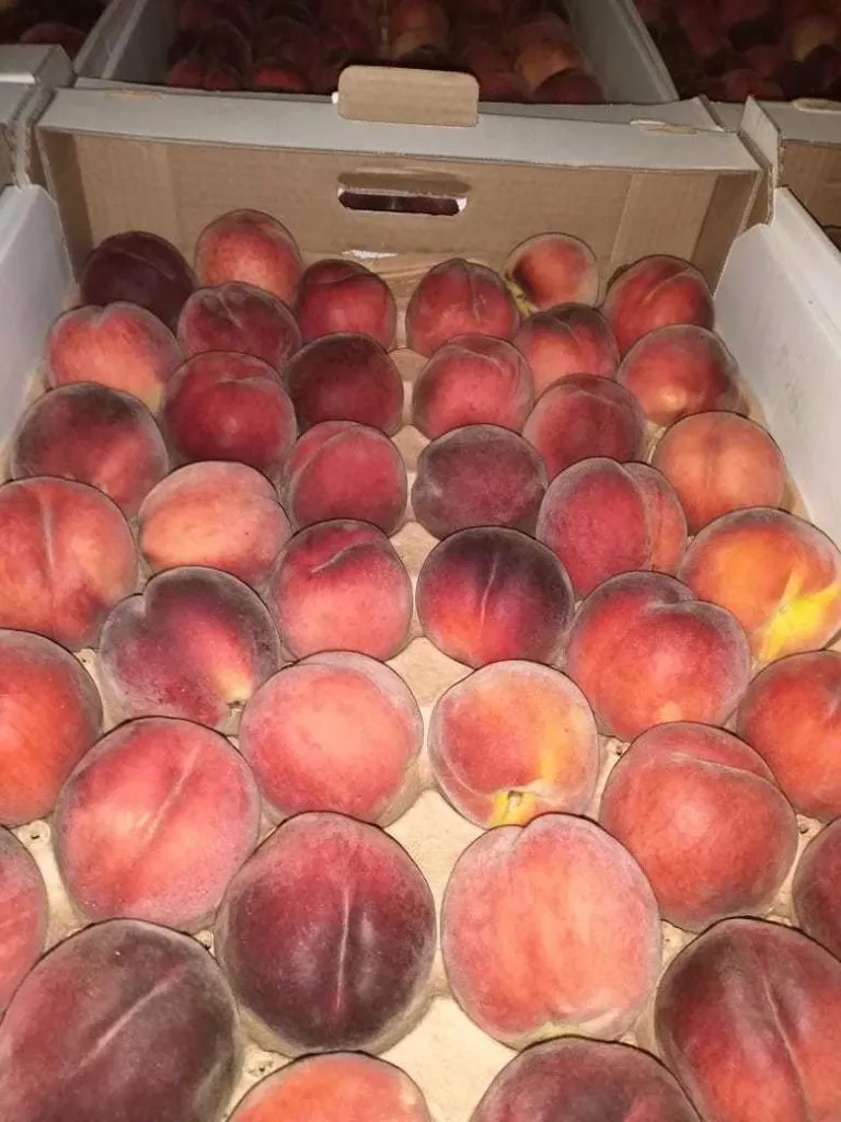 фотография продукта персик, ред хевен. яблоки боровинка