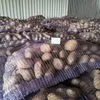 картофель урожая 2019 года со склада КФХ в Брянске 3