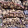 картофель урожая 2019 года со склада КФХ в Брянске 2