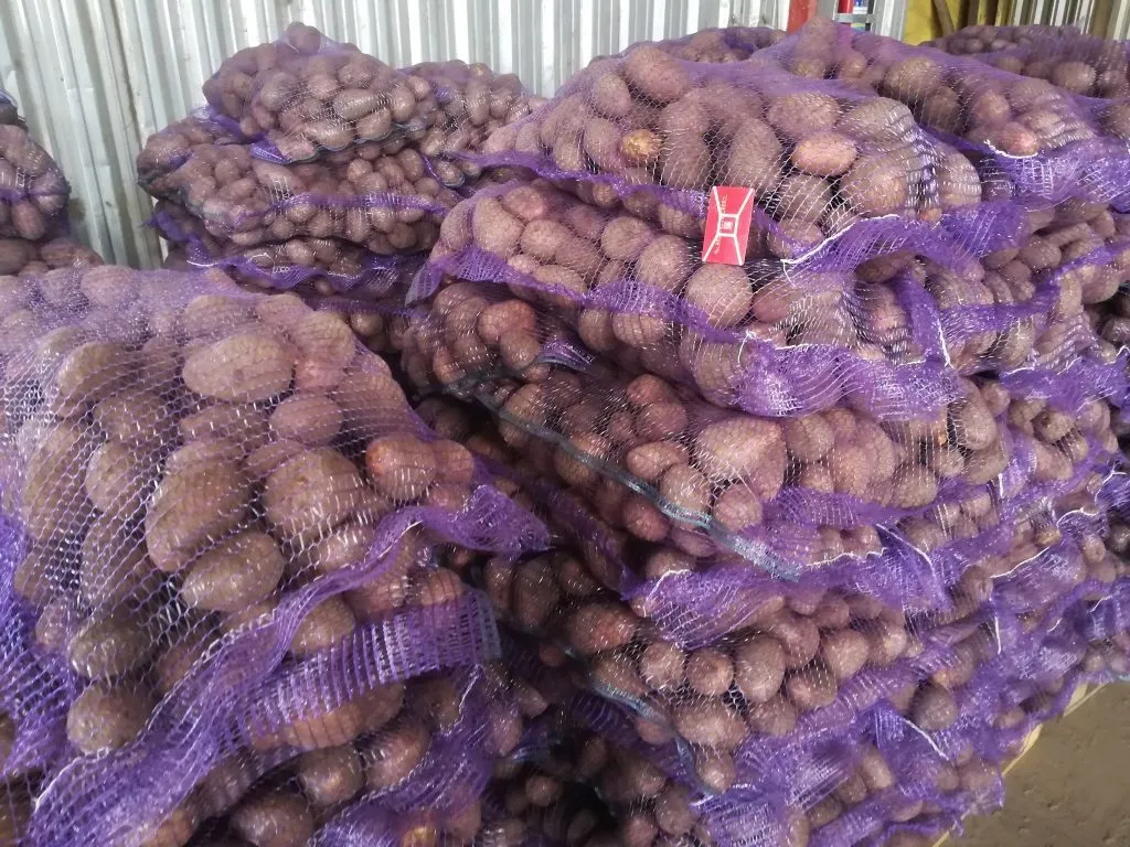 картофель урожая 2019 года со склада КФХ в Брянске
