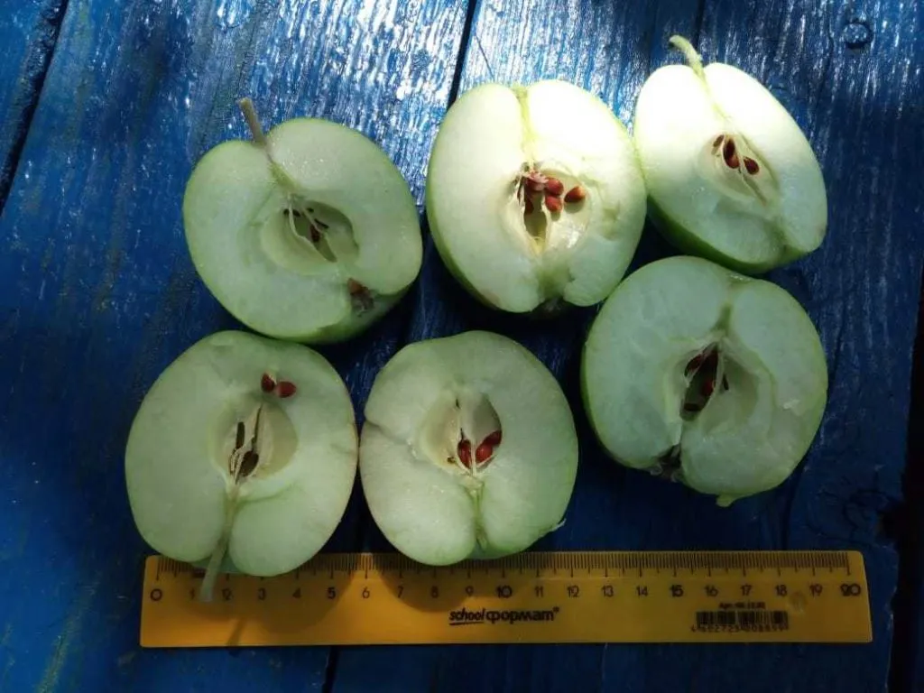 фотография продукта Яблоки, персики, виноград