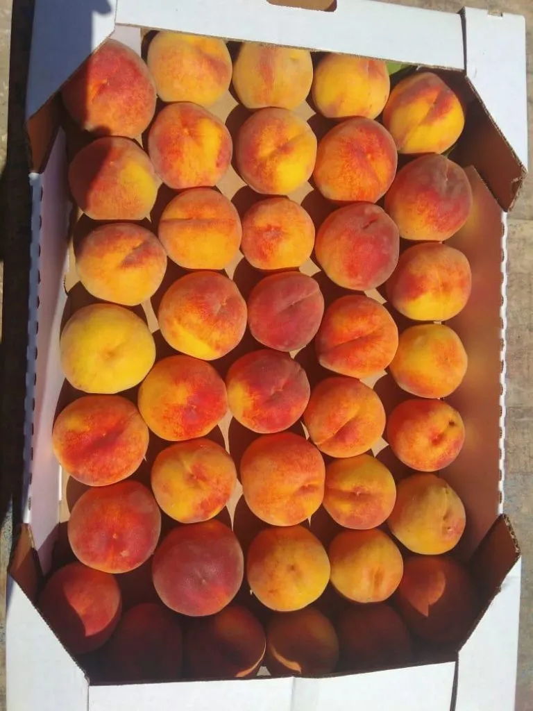 фотография продукта Персик, виноград,яблоко