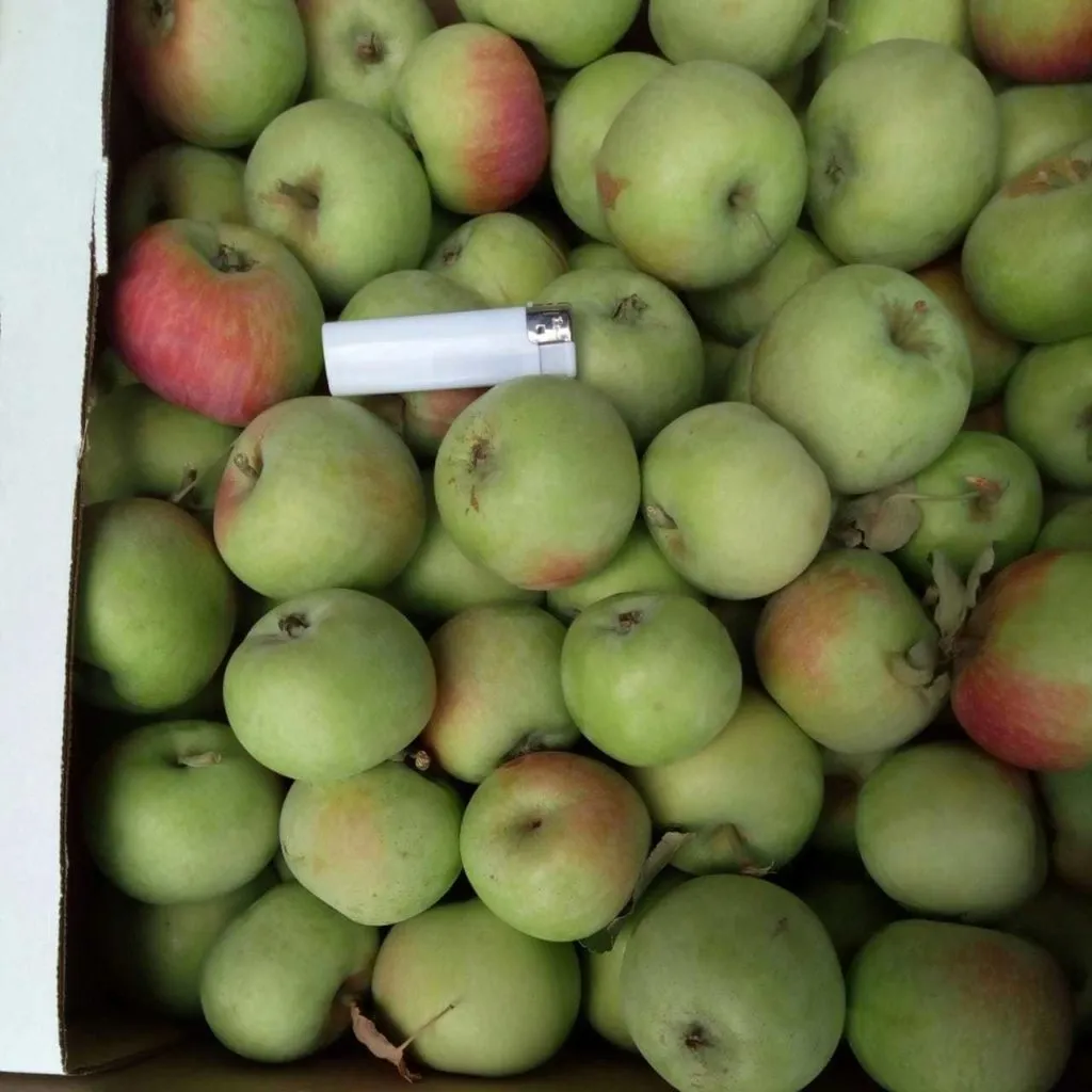фотография продукта Персики, яблоки,виноград,кизил