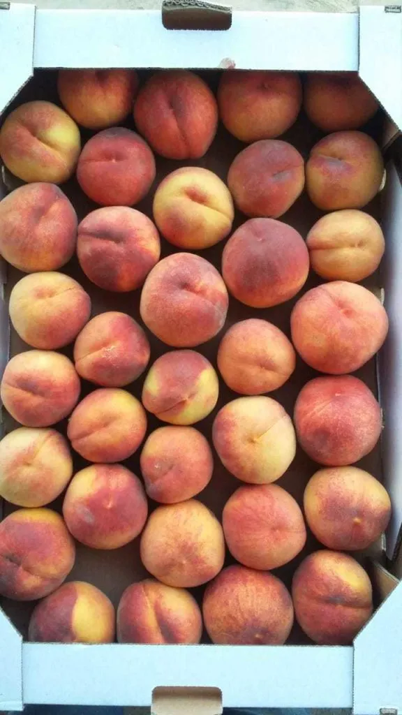 фотография продукта Персики,виноград,кизил,яблоки