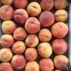 персики,виноград,кизил,яблоки в Симферополе