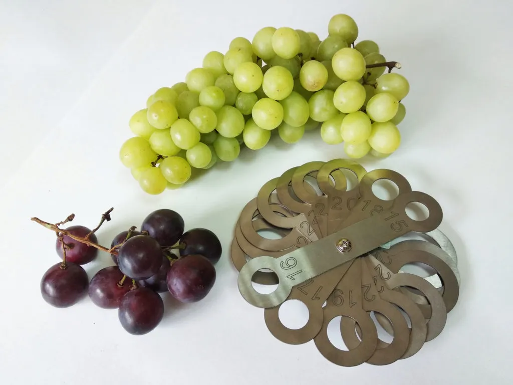 фотография продукта Ручной калибратор для винограда(нержав.)
