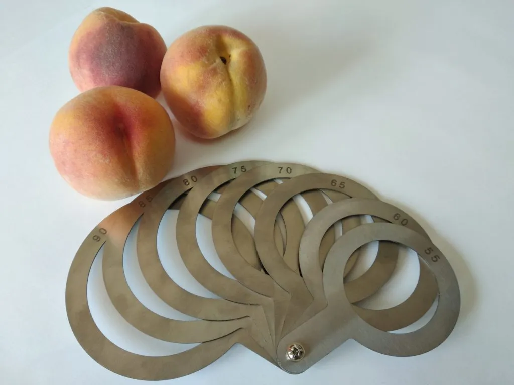 фотография продукта Ручной калибратор для персиков