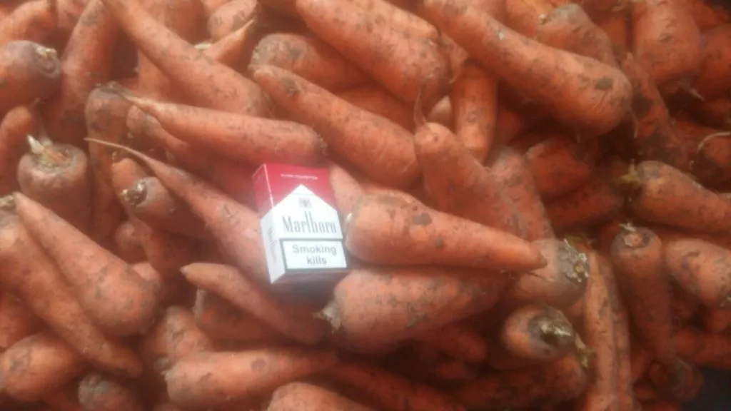 фотография продукта купим морковь